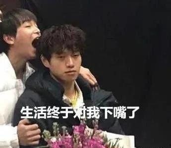 吃瓜的摩斯密码,摩斯密码下的社会现象洞察
