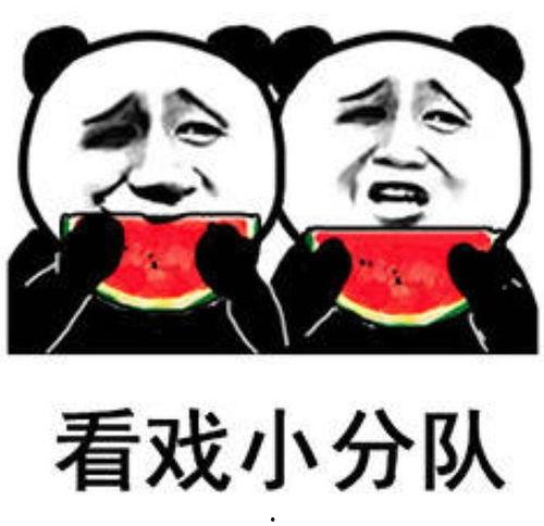 吃饼吃瓜表情包,趣味横生的网络文化现象
