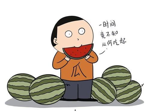 准备吃瓜结果的说说,揭秘“准备吃瓜”背后的故事