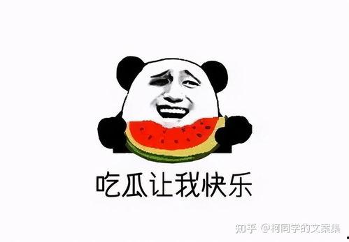 吃瓜群众小段文案搞笑,小段文案，笑料横生，吃瓜群众乐翻天！