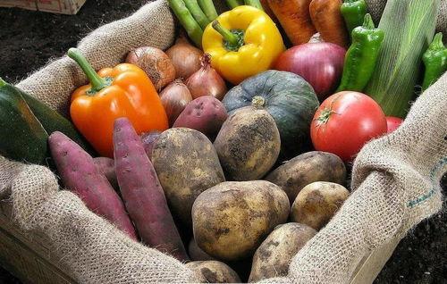 美国王佳仪吃瓜,揭秘娱乐圈的“吃瓜”传奇