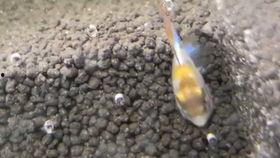 吃瓜观察站,吃瓜观察站带你领略明星幕后故事