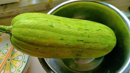 新鲜吃瓜,新鲜吃瓜盛宴来袭！