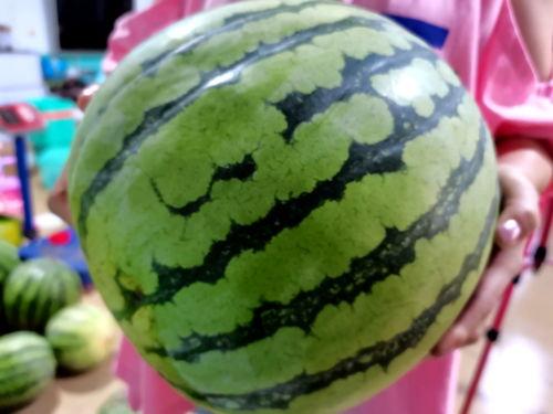 新乡比赛画面吃瓜,吃瓜群众围观精彩瞬间